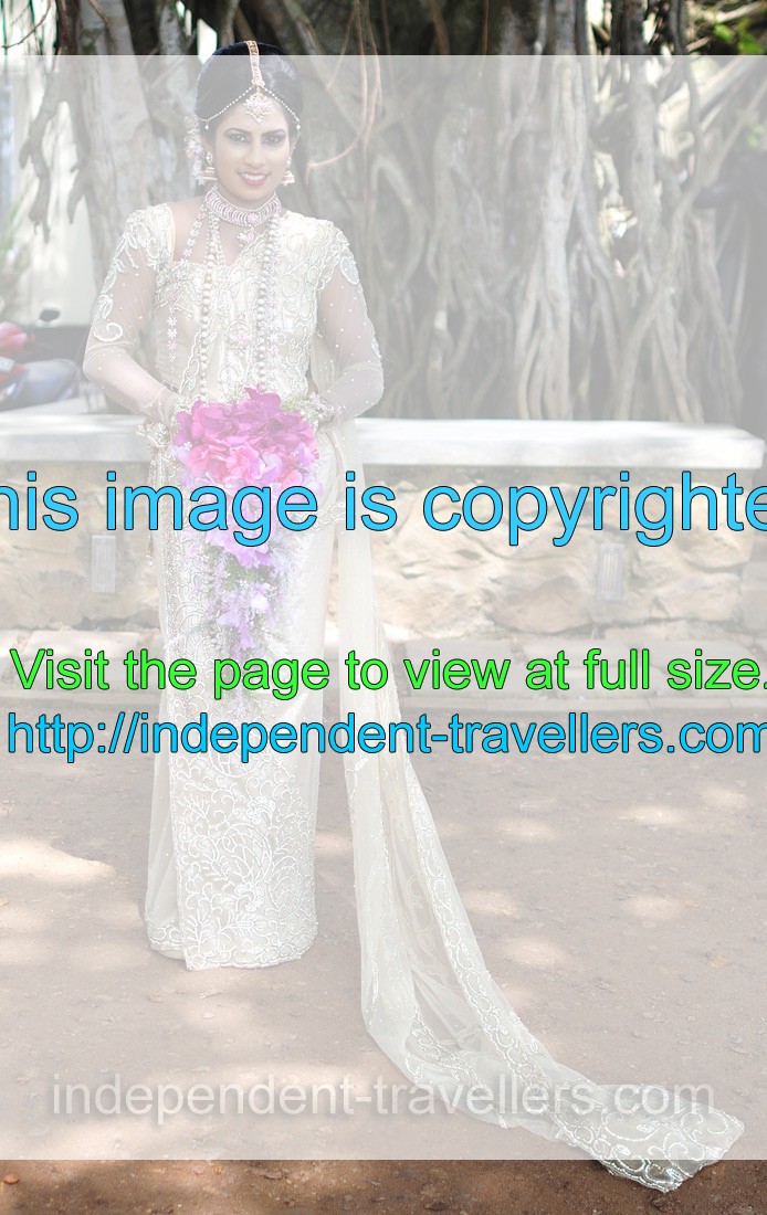 A gorgeous bride is dressed in a long white dress