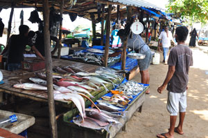 Ja Kotuwa fish market is located at 6.037000, 80.226028