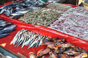 Crabs, squids and shrimps are for sale at Ja Kotuwa fish market