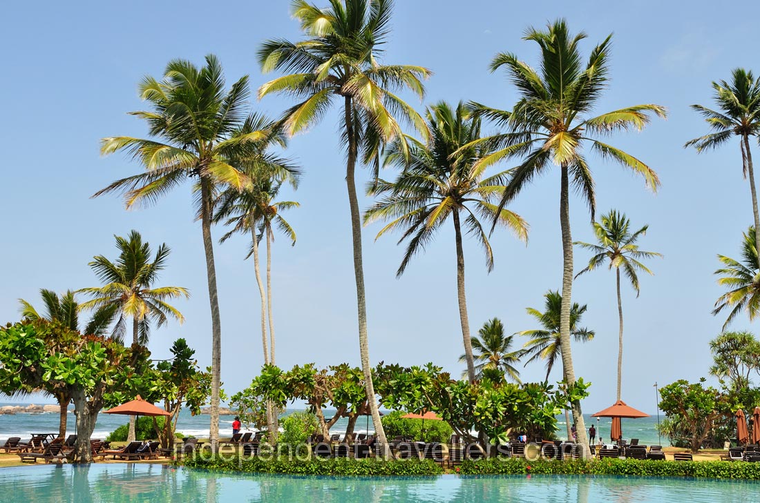 Tall palm trees surround the swimming pool of Hikka Tranz by Cinnamon hotel
