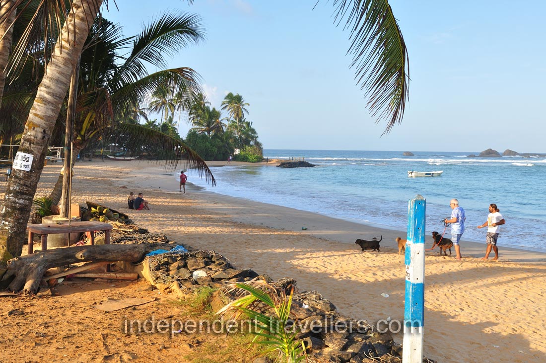 The place where sea turtles feed as seen from the town of Hikkaduwa