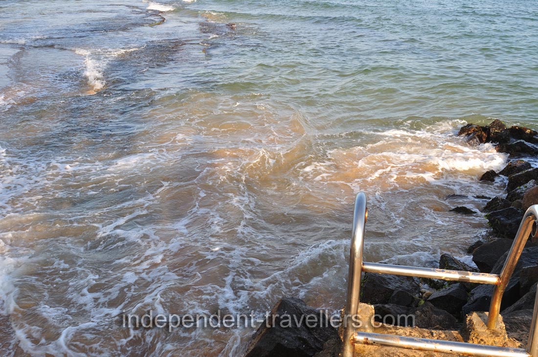 Sea turtles can swim even in these raging waves