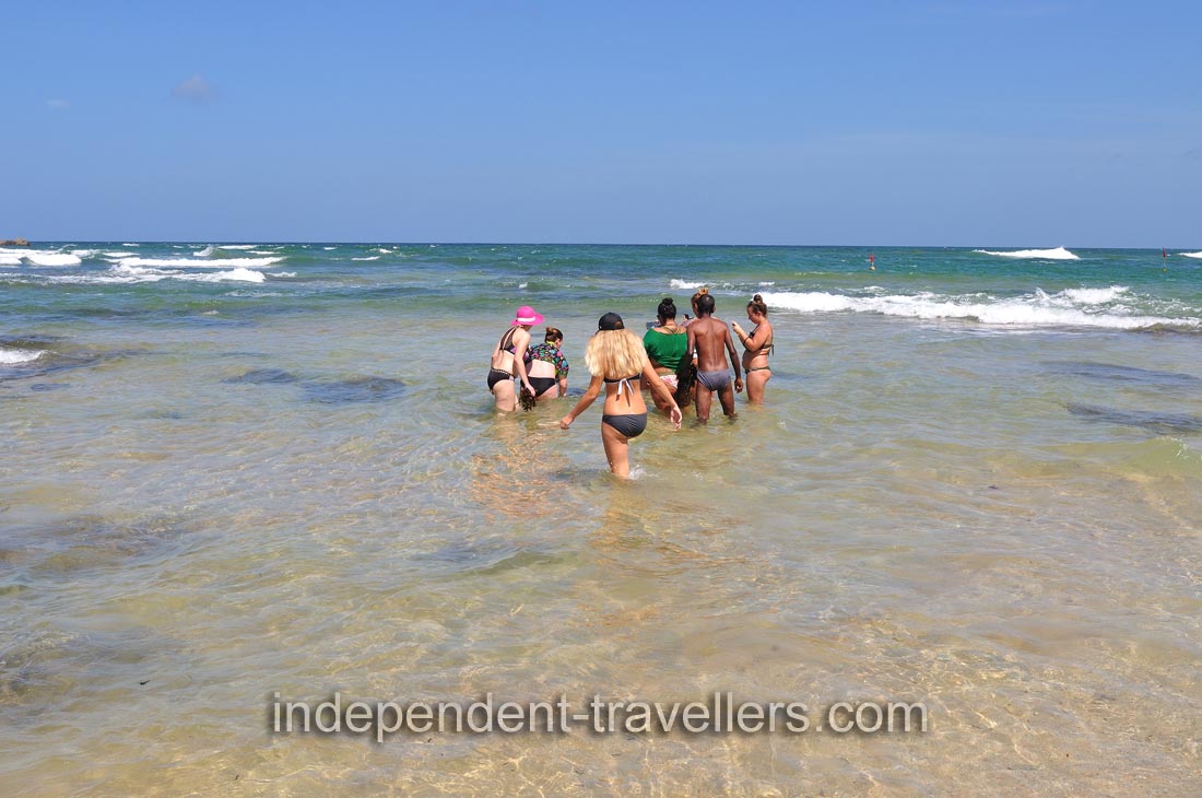 Women are ready to feed sea turtles