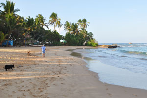 A man with a dog walks along the beach
