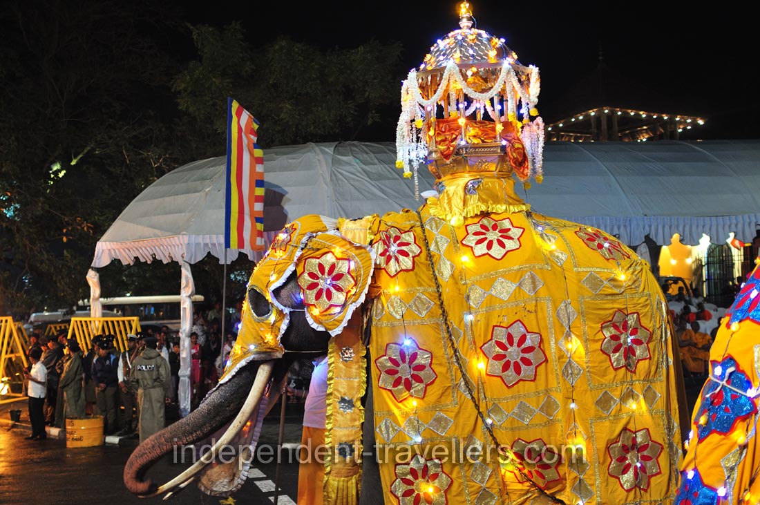 A bright festive elephant