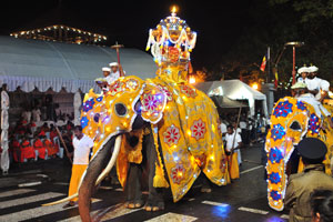 Elephants are dressed in the festive gold coverings