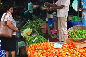 Tomato costs 40 Sri Lankan rupees for 500 grams