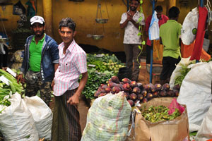 Vegetables are packed in sacks