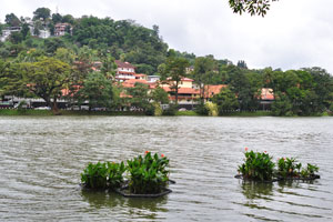 The extent of Kandy Lake is 6544 square meters