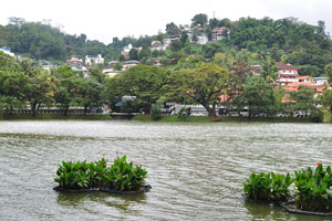 The circumference of Kandy Lake is 3.21 km