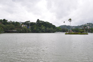 There are a variety of different trees planted around Kandy Lake including Nuga trees and Mara trees