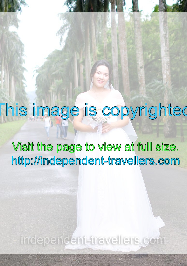 Chinese bride is smiling on Royal Palm Avenue