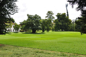 Great lawn is the vast undulating lawn area