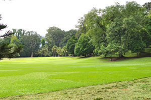Great lawn is the area covered by an extent of two hectares