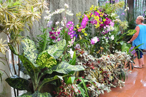 It is very humid inside Orchid House