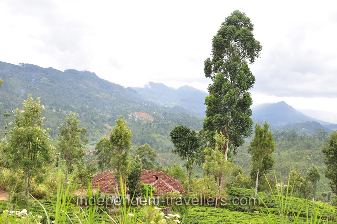 Tile roofs