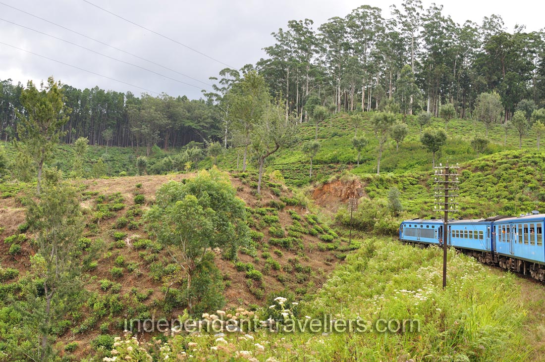 Sri Lankan tea is known for generations as &ldquo;Ceylon Tea&rdquo;