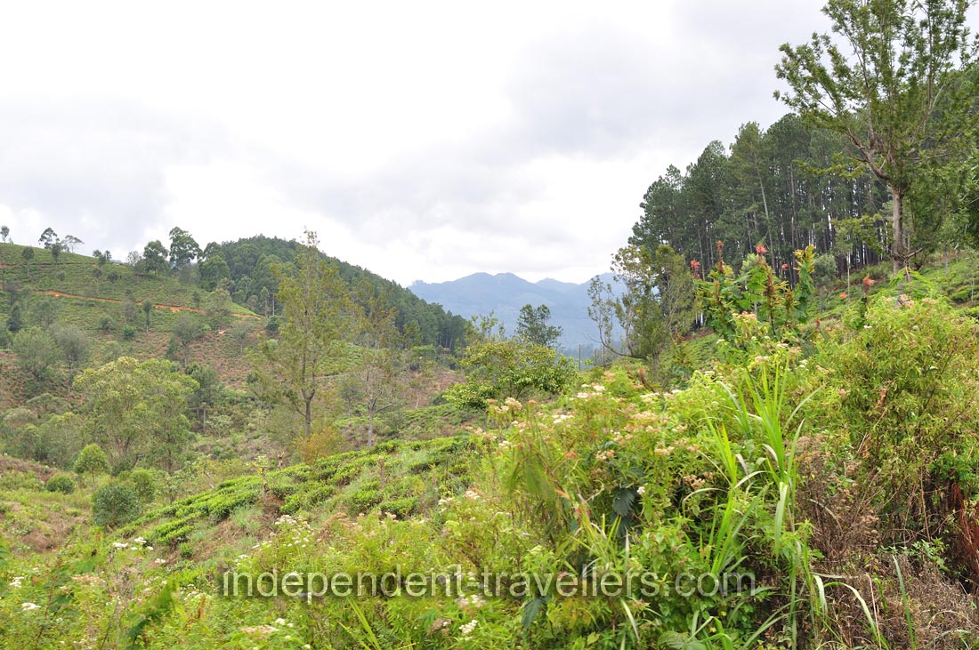 Kandy to Ella train ride is undoubtedly one of the world's most scenic