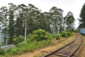 Mountainous railway track