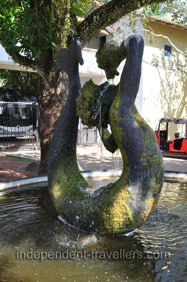 The male mermaid fountain is in Ahungalla