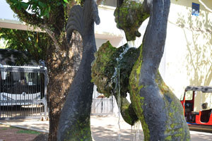 The male mermaid fountain is covered with moss