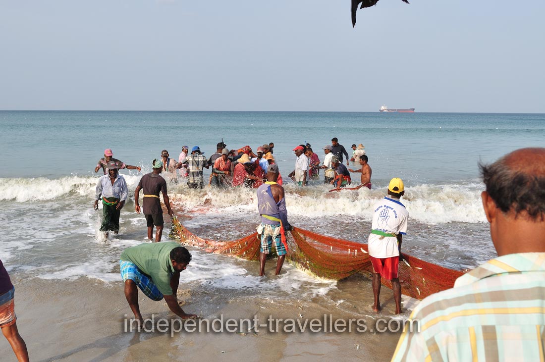 The process of fishing is labor-intensive