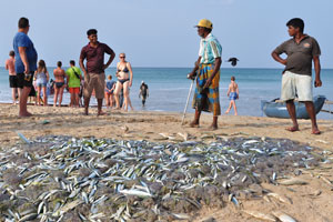 Fishermen are proud of their ability to catch the great quantity of fish