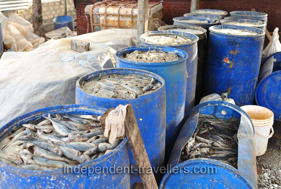 Salted fish in barrels