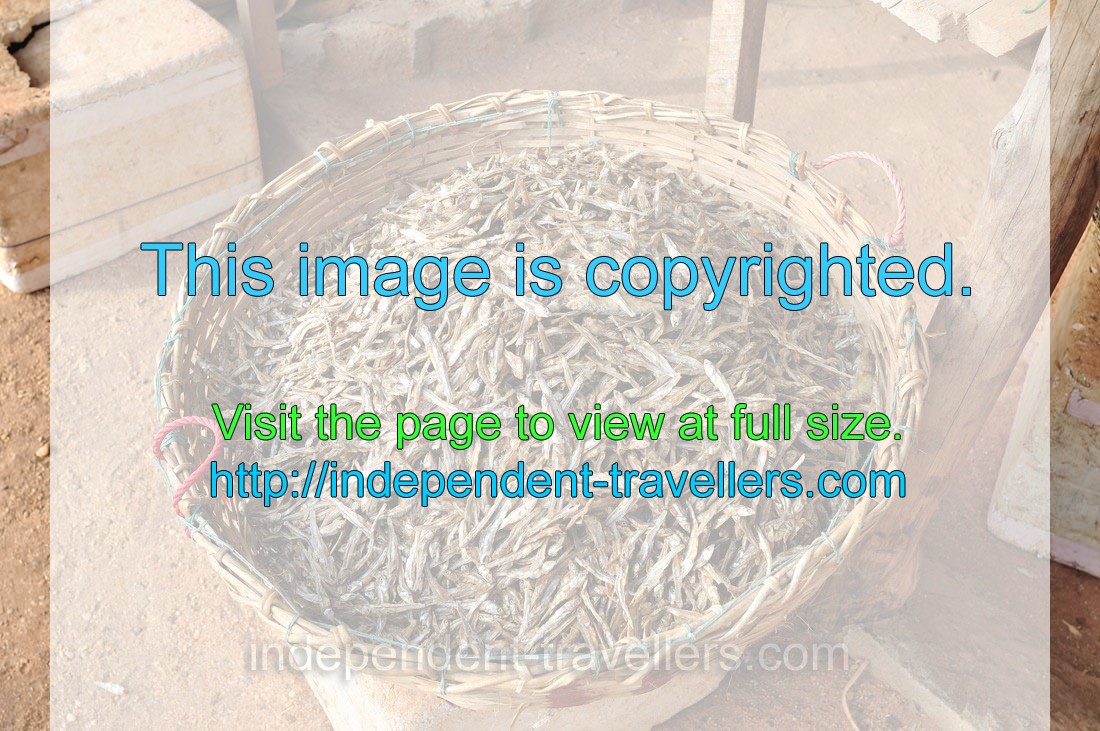 A basket with small dried fish