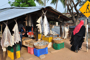 A roadside market stall with dried fish
