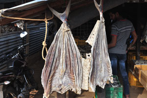 Two huge dried fishes are for sale in a roadside market stall