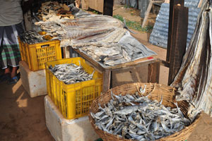 Big and small dried fishes are for sale in a roadside market stall