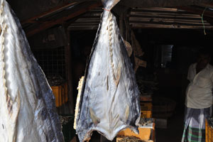 A huge dried fish is for sale in a roadside market stall