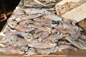 A market stall is filled with dried spotted oceanic triggerfish “Canthidermis maculata”
