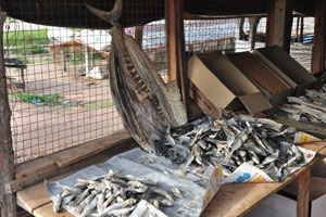 Dried fish of any sizes are for sale in a roadside market stall