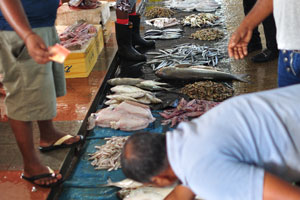 Freshly caught fish is for sale at the fish market