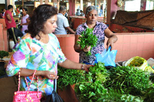 Fresh greenery is at the fruit and vegetable market