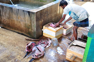A man cleans giant fish at the fish market