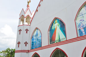 Divine Mercy Shrine catholic church