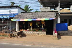 A fruit stall is on Nilaveli road