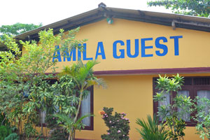 The inscription on the building reads “Amila Guest House”