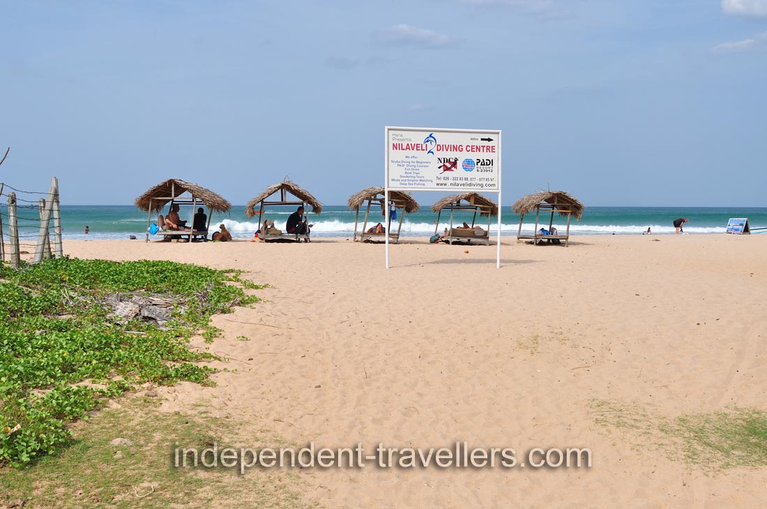 Thatched-roof huts are on the beach