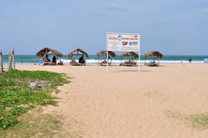 Thatched-roof huts are on the beach