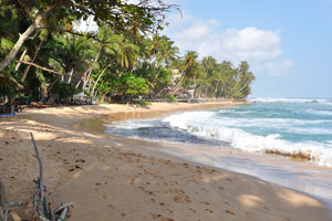 Mihiripenna beach is a palm-fringed beach