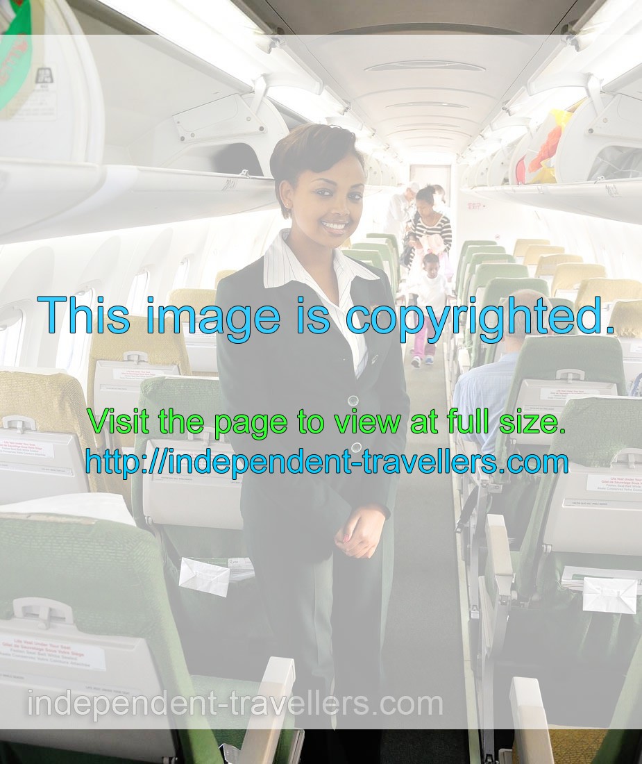 Charming stewardess of the flight ET108