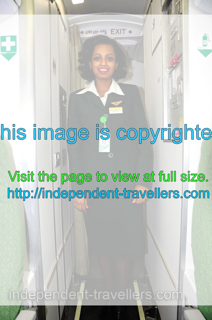 Charming stewardess of the flight ET373
