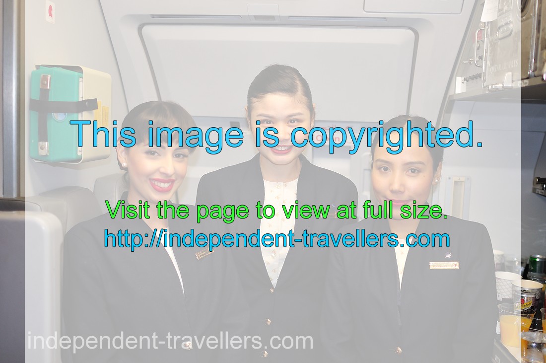 Three ravishing flight attendants