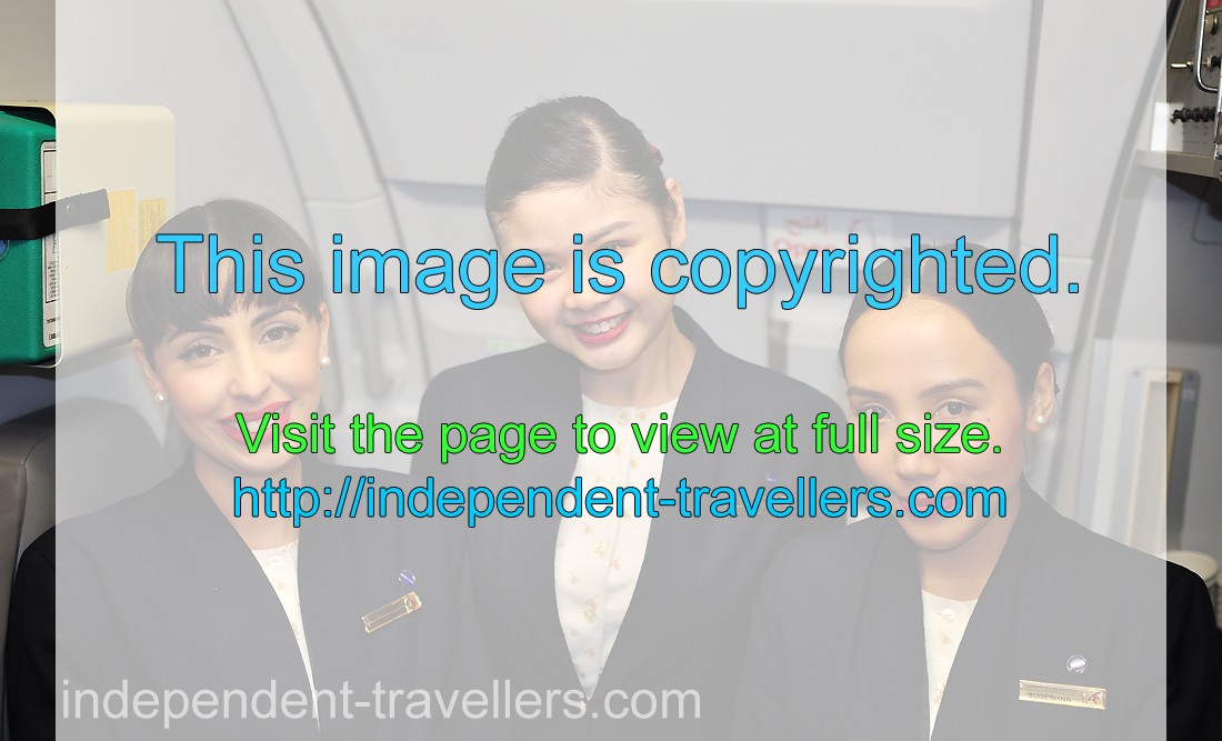 Three beauteous flight attendants