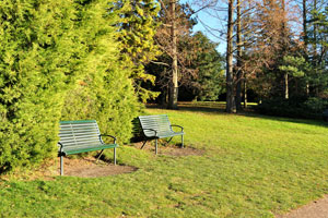 Garden benches are available in Slottsparken park