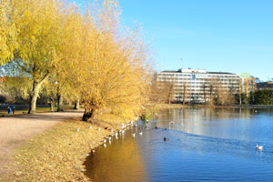 Big Pond (Swedish: Stora Dammen) is in Pildammsparken park